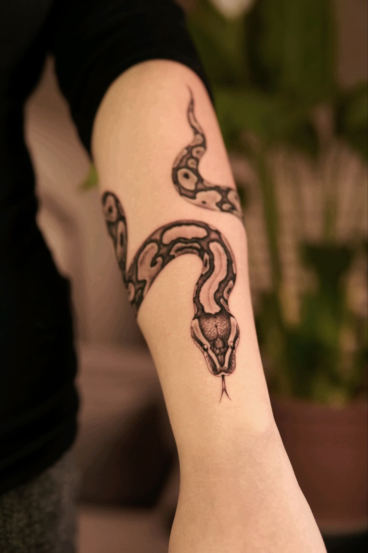 Tatuagem de serpente em blackwork no antebraço