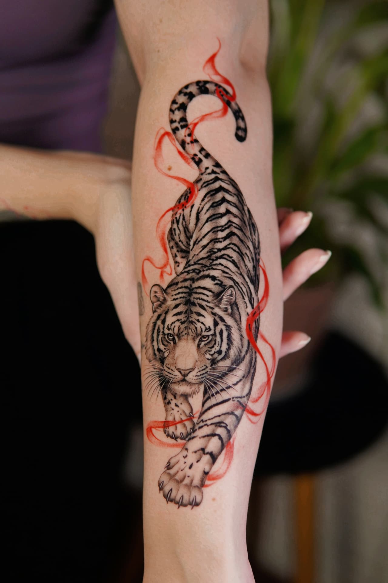 Tatuagem de tigre com fitas vermelhas no antebraço